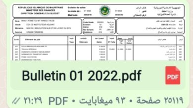 ملف بصيغة pdf لكشوف رواتب شهر يناير المنصرم، تم تداوله على نطاق واسع في مجموعات الواتساب